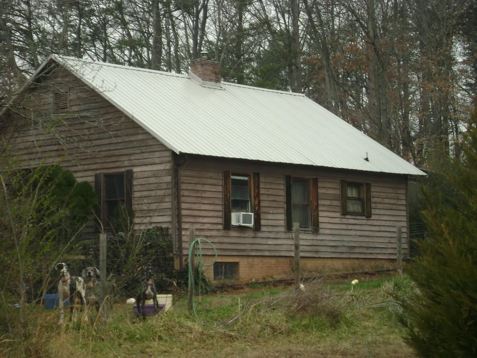 White metal roof on an old wood sided farmhouse, from a Asphalt Shingle Roof Repair job in Huxley